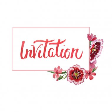 Kır çiçeği karanfil çiçek çerçeve izole bir suluboya tarzında.