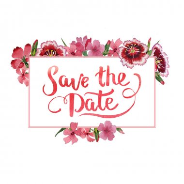 Kır çiçeği karanfil çiçek çerçeve izole bir suluboya tarzında.