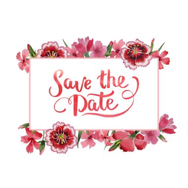 Kır çiçeği karanfil çiçek çerçeve izole bir suluboya tarzında.