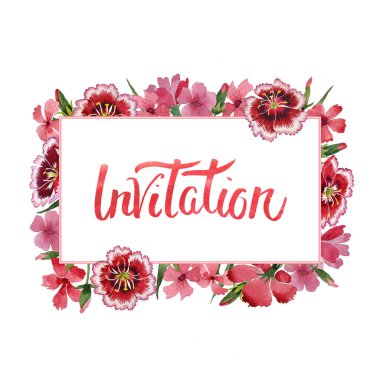 Kır çiçeği karanfil çiçek çerçeve izole bir suluboya tarzında.