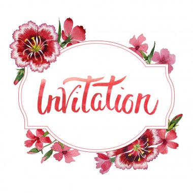 Kır çiçeği karanfil çiçek çerçeve izole bir suluboya tarzında.