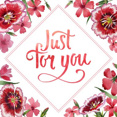 Kır çiçeği karanfil çiçek çerçeve izole bir suluboya tarzında.