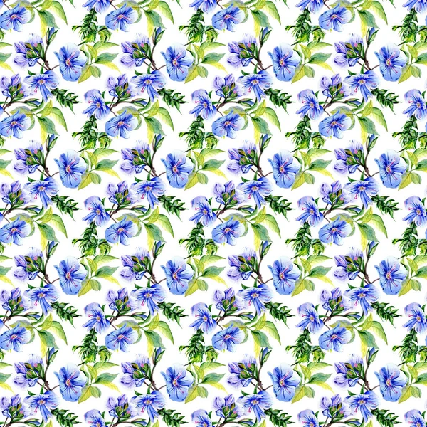 分離された水彩画のワイルドフラワー アネモネ花のパターン. — ストック写真