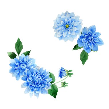Kır çiçeği mavi dahila çiçek çerçeve izole bir suluboya tarzında.