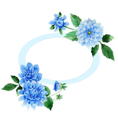 Kır çiçeği mavi dahila çiçek çerçeve izole bir suluboya tarzında.