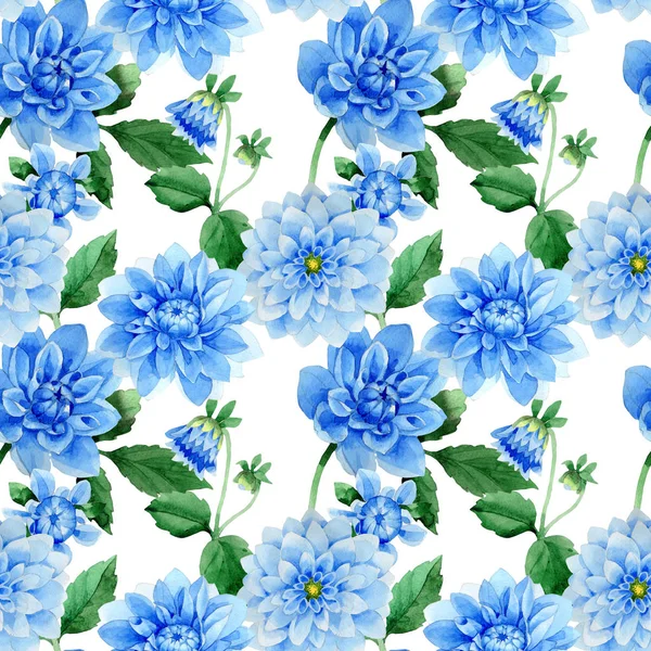 Flor silvestre azul dahila patrón de flores en un estilo de acuarela aislado . — Foto de Stock