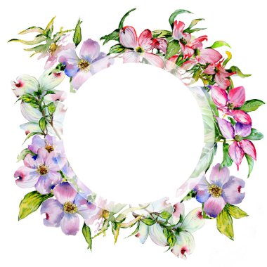 Kır çiçeği kızılcık çiçek çerçeve izole bir suluboya tarzında.