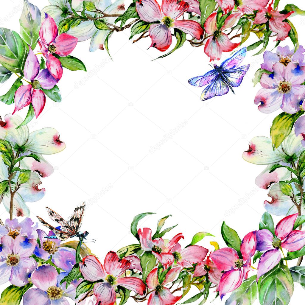 Wildflower dogwood flower frame in a watercolor style isolated.