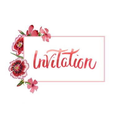 Kır çiçeği karanfil çiçek çerçeve izole bir suluboya tarzında.