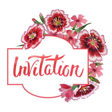 Kır çiçeği karanfil çiçek çerçeve izole bir suluboya tarzında.