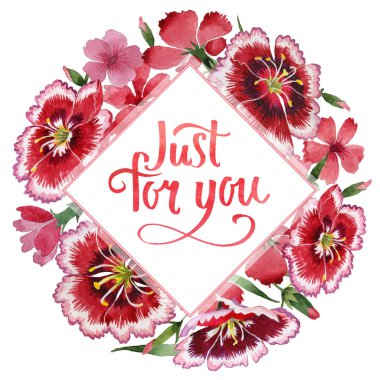 Kır çiçeği karanfil çiçek çerçeve izole bir suluboya tarzında.