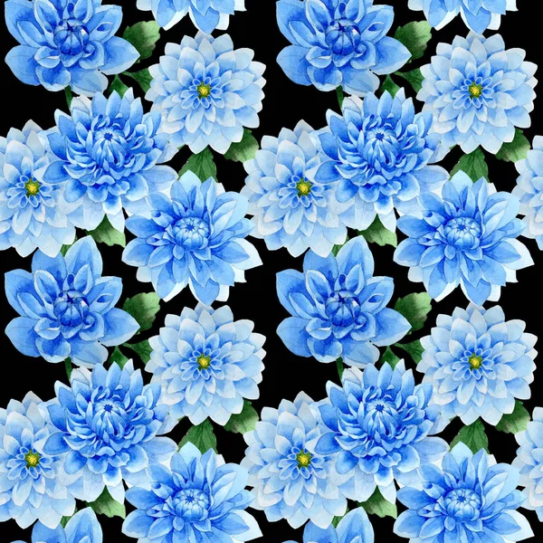 Wildflower niebieski dahila kwiatki w stylu przypominającym akwarele na białym tle. — Zdjęcie stockowe