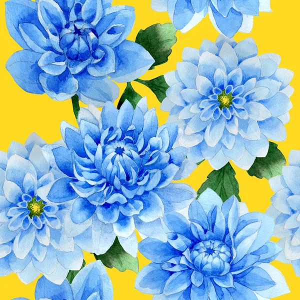 Modèle de fleur de dahila bleu fleur sauvage dans un style aquarelle isolé . — Photo