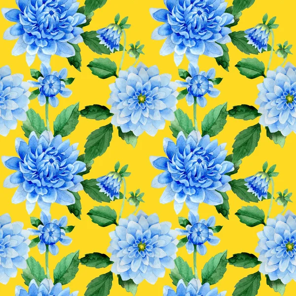 Modèle de fleur de dahila bleu fleur sauvage dans un style aquarelle isolé . — Photo
