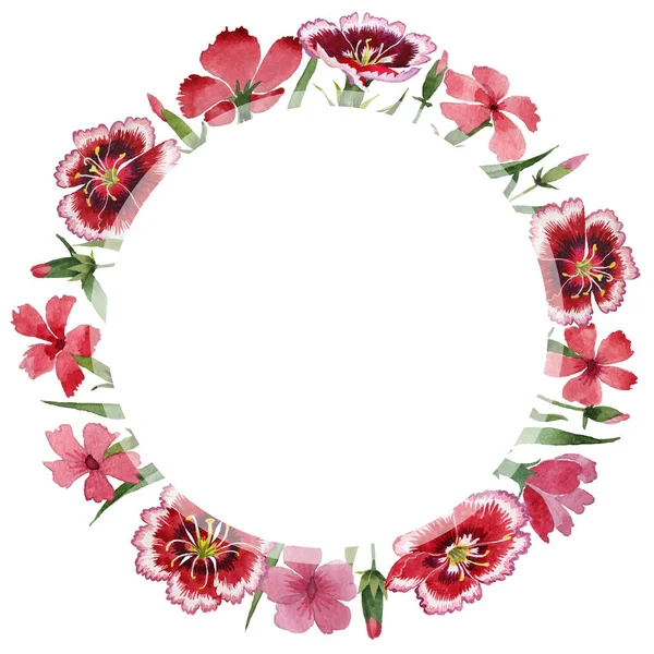 Wildflower carnation flower frame in a watercolor style isolated. — Stock Photo, Image