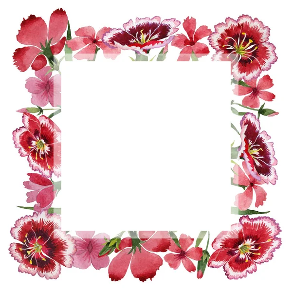 Дика квіткова рамка гвоздики в акварельному стилі ізольована . — стокове фото