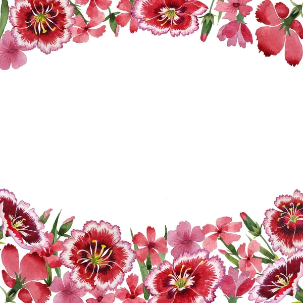 Fiore di garofano cornice fiore in stile acquerello isolato . — Foto Stock
