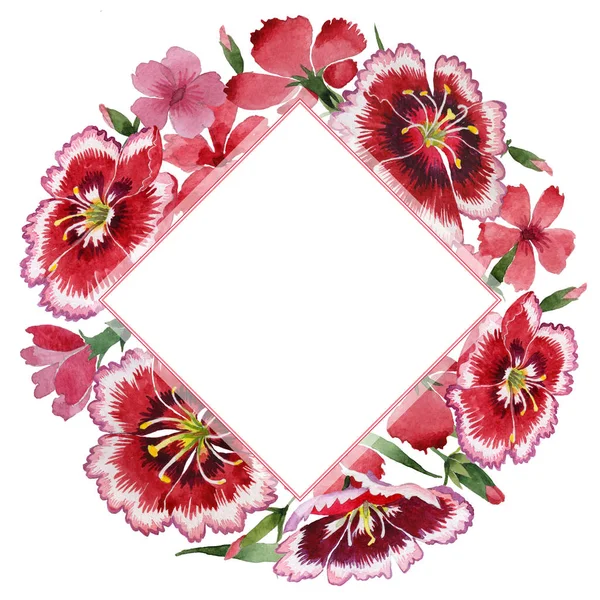 Wildflower carnation flower frame in a watercolor style isolated. — Stock Photo, Image