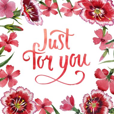 Kır çiçeği karanfil çiçek çerçeve izole bir suluboya tarzında.