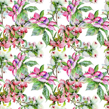 Kır çiçeği kızılcık çiçek deseni izole bir suluboya tarzında.