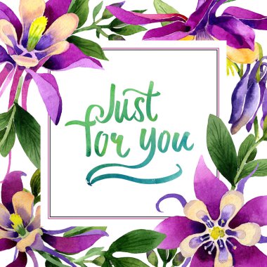 Kır çiçeği orkide çiçek çerçeve izole bir suluboya tarzında.