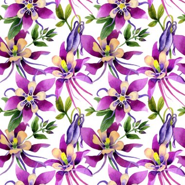 Kır çiçeği orkide çiçek deseni izole bir suluboya tarzında.