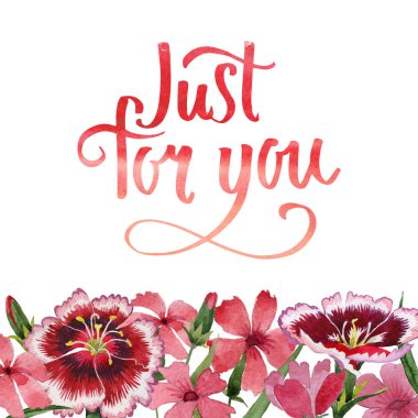 Kır çiçeği karanfil çiçek çerçeve izole bir suluboya tarzında.