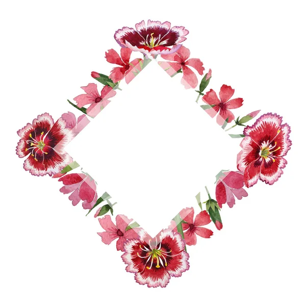 Fiore di garofano cornice fiore in stile acquerello isolato . — Foto Stock