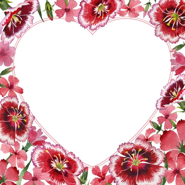 Wildflower carnation blomma ram i akvarell stil isolerade. — Stockfoto