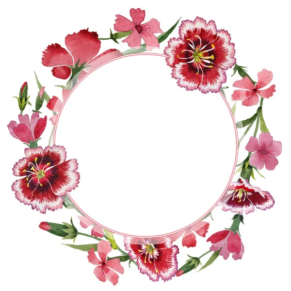 Wildflower carnation flower frame in a watercolor style isolated.