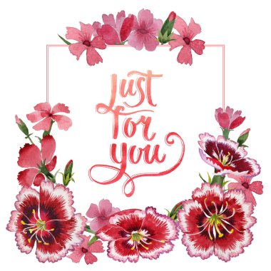 Kır çiçeği karanfil çiçek çerçeve izole bir suluboya tarzında.