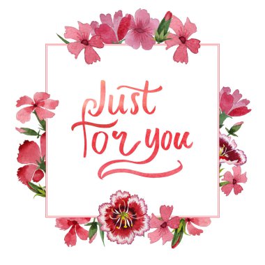 Kır çiçeği karanfil çiçek çerçeve izole bir suluboya tarzında.