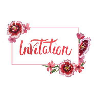 Kır çiçeği karanfil çiçek çerçeve izole bir suluboya tarzında.