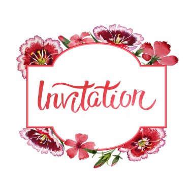 Kır çiçeği karanfil çiçek çerçeve izole bir suluboya tarzında.