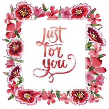 Kır çiçeği karanfil çiçek çerçeve izole bir suluboya tarzında.