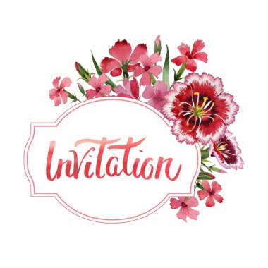 Kır çiçeği karanfil çiçek çerçeve izole bir suluboya tarzında.