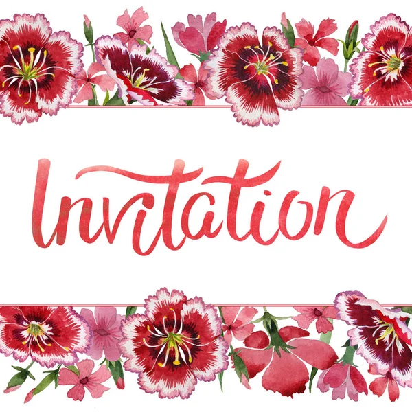 Wildflower carnation flower frame in a watercolor style isolated. — Stock Photo, Image