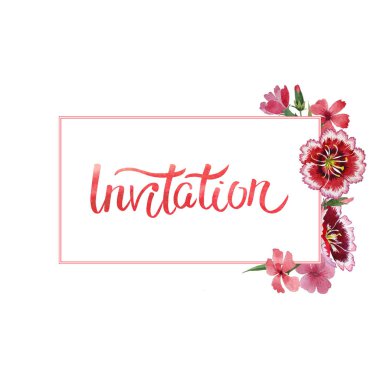 Kır çiçeği karanfil çiçek çerçeve izole bir suluboya tarzında.