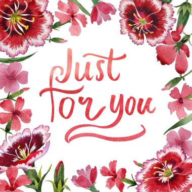 Kır çiçeği karanfil çiçek çerçeve izole bir suluboya tarzında.