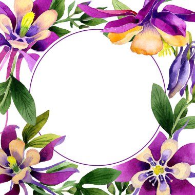 Kır çiçeği orkide çiçek çerçeve izole bir suluboya tarzında.