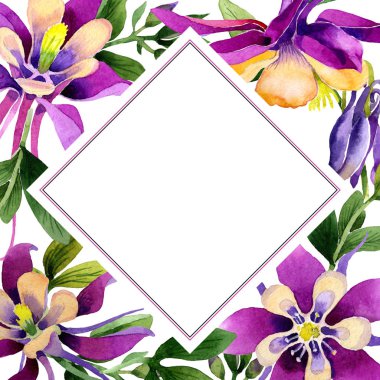 Kır çiçeği orkide çiçek çerçeve izole bir suluboya tarzında.
