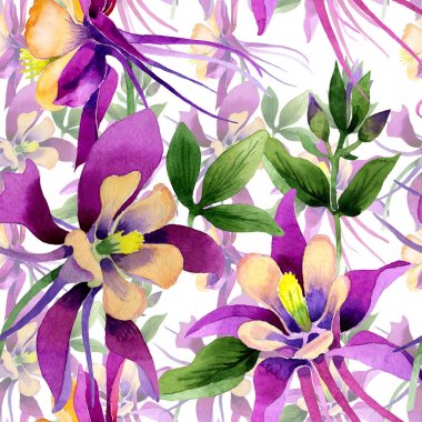Kır çiçeği orkide çiçek deseni izole bir suluboya tarzında.