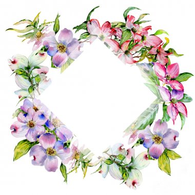 Kır çiçeği kızılcık çiçek çerçeve izole bir suluboya tarzında.