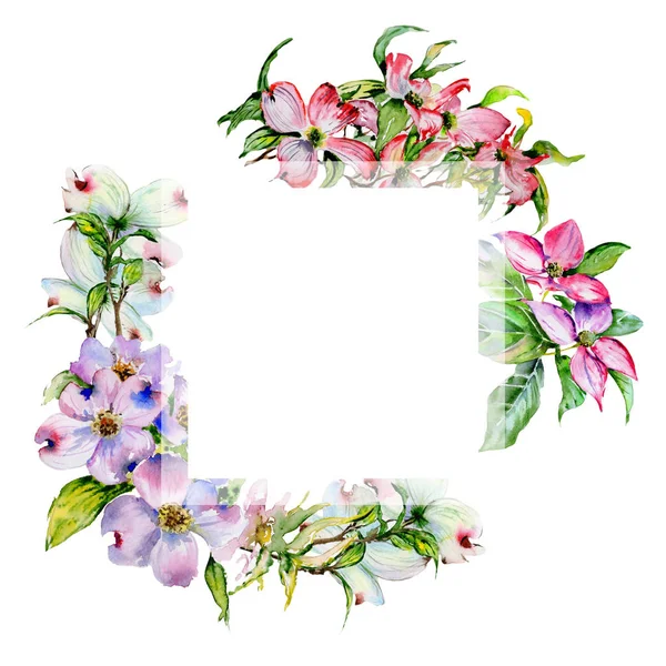 Wildflower dogwood flower frame in a watercolor style isolated. — Stock Photo, Image