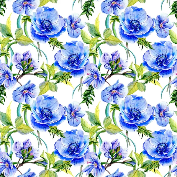 Wildflower anemone flower pattern  in a watercolor style isolated.