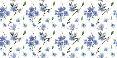 Kır çiçeği kiraz çiçek deseni izole bir suluboya tarzında.