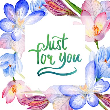 Kır çiçeği çiğdemler çiçek çerçeve izole bir suluboya tarzında.