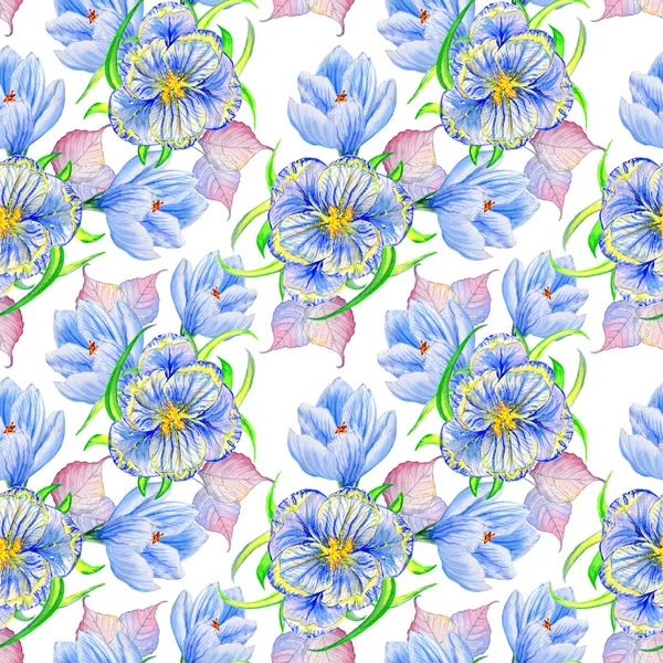 Crocos de flores silvestres padrão de flores em um estilo de aquarela isolado . — Fotografia de Stock