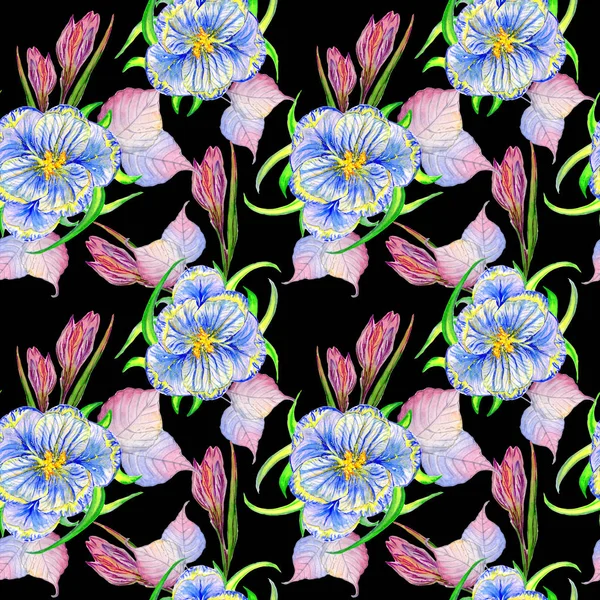수채화 스타일 절연 야생화 크 로커 스 꽃 패턴. — 스톡 사진