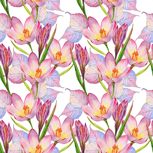 Wildblumen Krokusse Blumenmuster in einem Aquarell-Stil isoliert. — Stockfoto